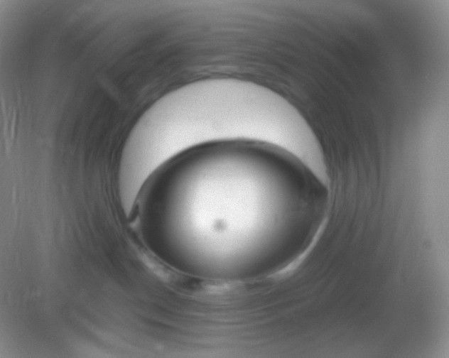 X0000082140190200702021619