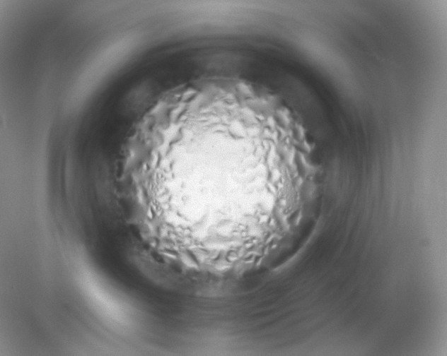 X0000082140191200702021619