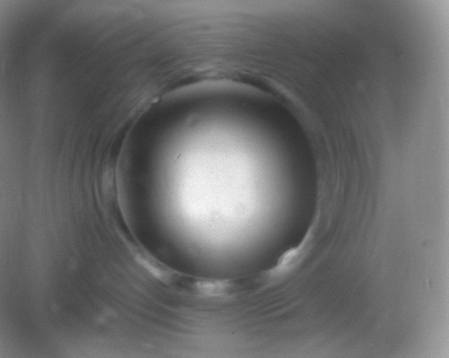 X0000082140192200702021619