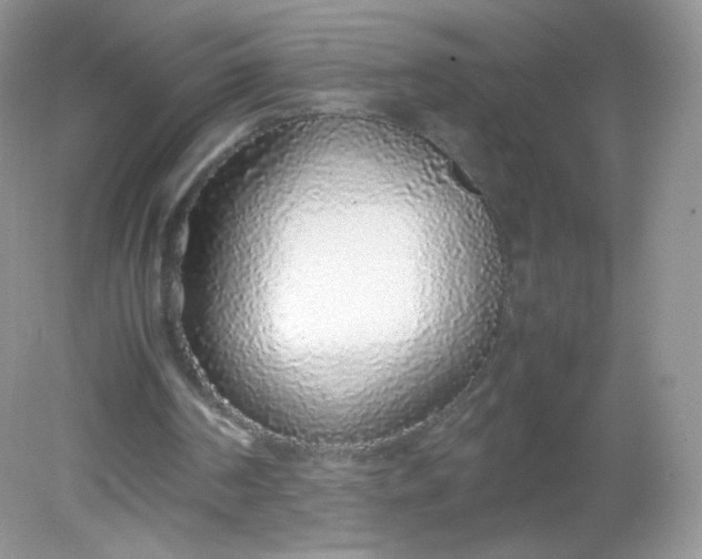 X0000082140194200702021618
