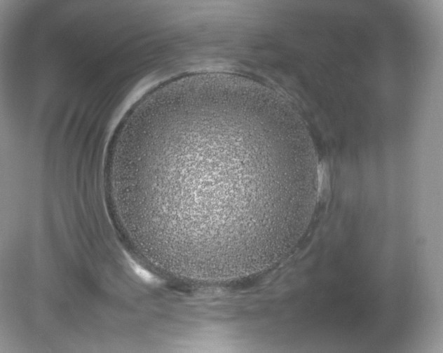 X0000082140195200702021618