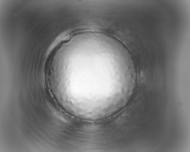 X0000082140198200702021618