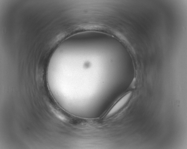 X0000082140201200702021618