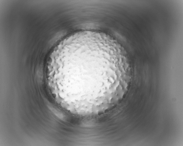 X0000082140202200702021618