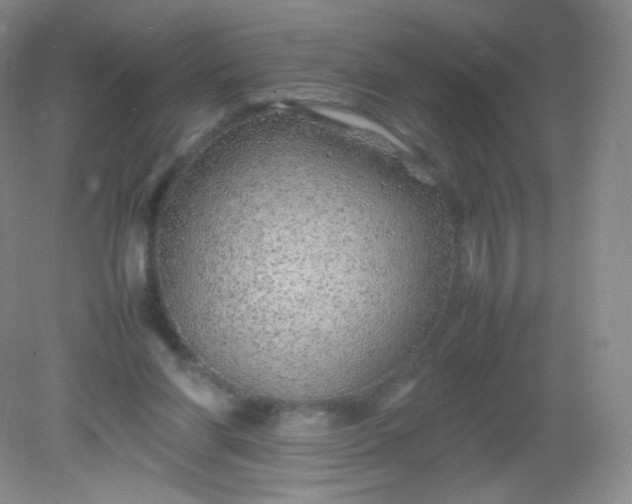 X0000082140206200702021618