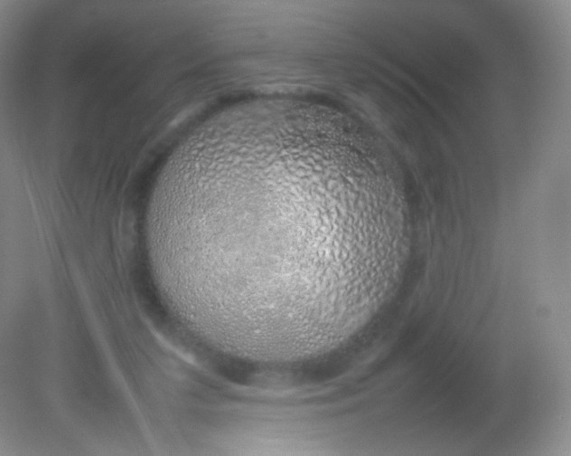 X0000082140211200702021618