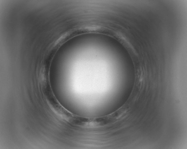 X0000082140212200702021617