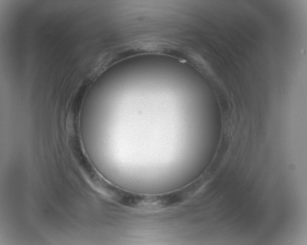 X0000082140213200702021617