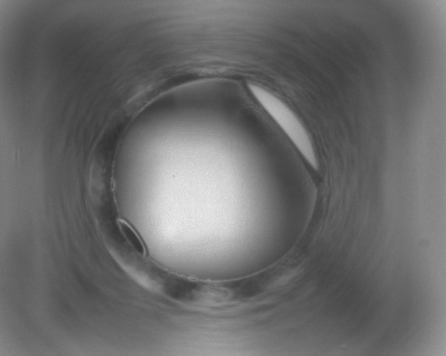 X0000082140215200702021617