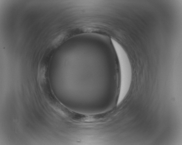 X0000082140219200702021617