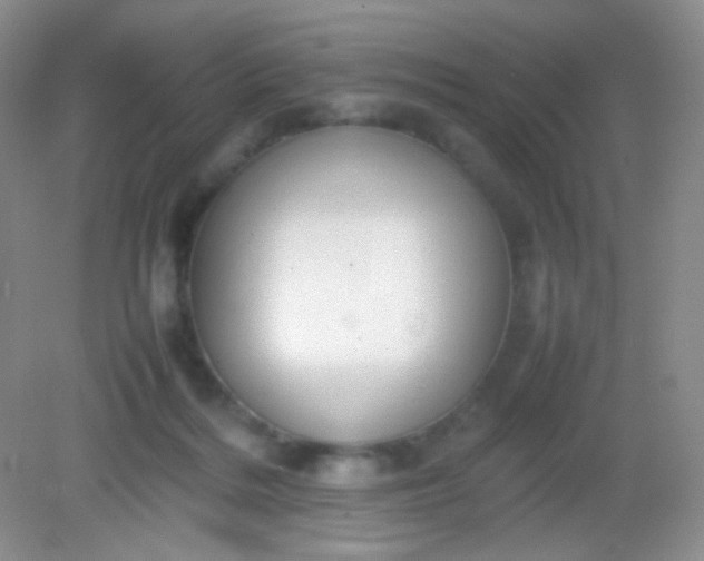 X0000082140220200702021617