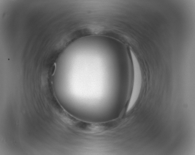 X0000082140221200702021617
