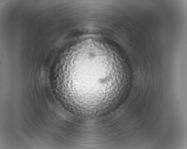 X0000082140222200702021617