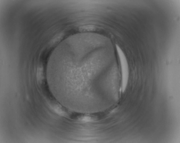 X0000082140224200702021617