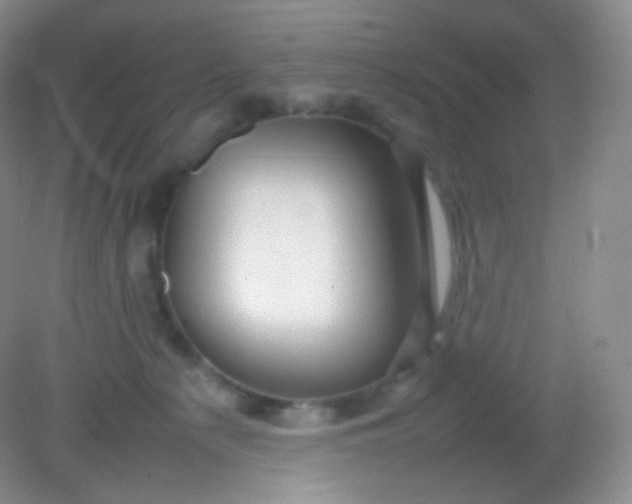 X0000082140225200702021617