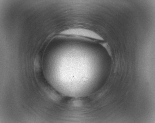 X0000082140228200702021617