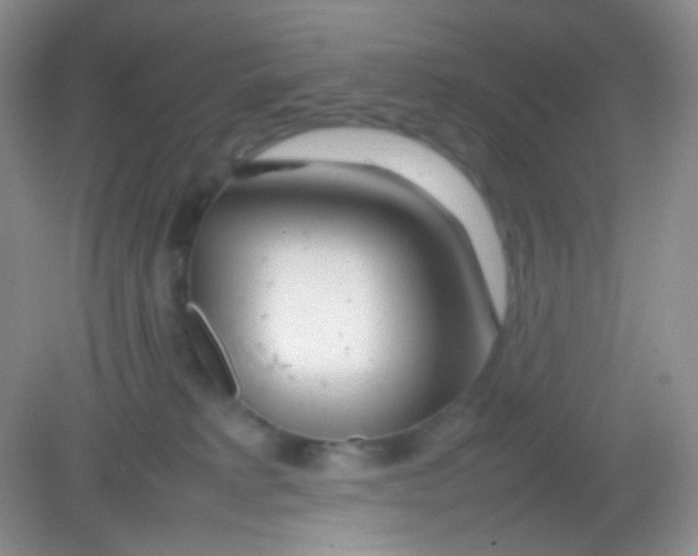 X0000082140229200702021617