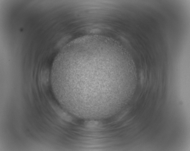 X0000082140230200702021617
