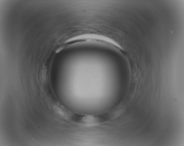 X0000082140231200702021617