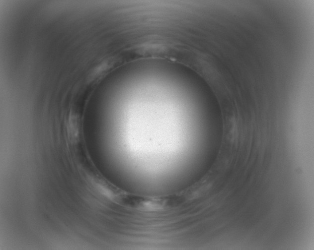 X0000082140232200702021617