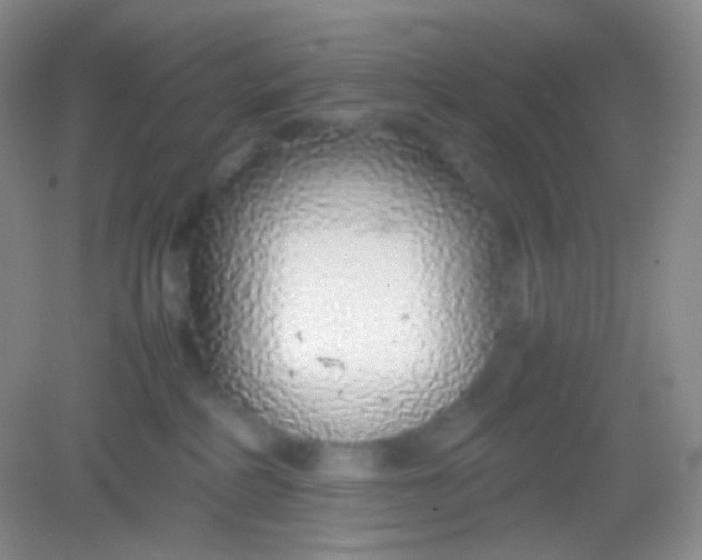 X0000082140234200702021617