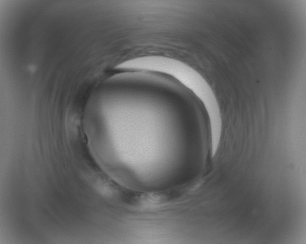 X0000082140235200702021617