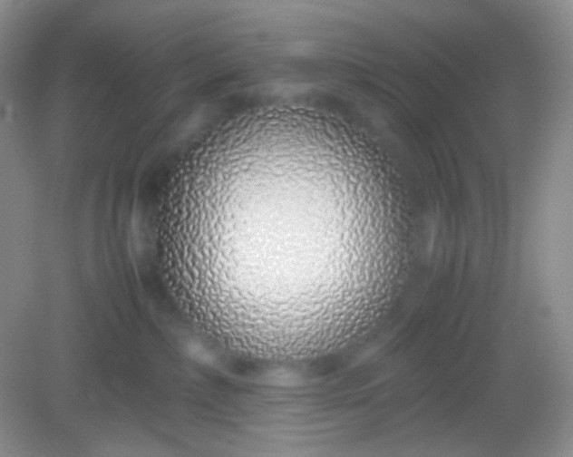X0000082140236200702021617