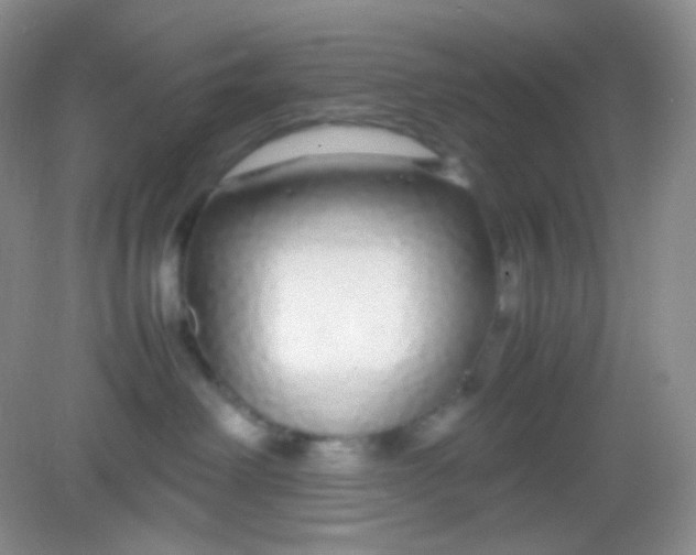 X0000082140238200702021617