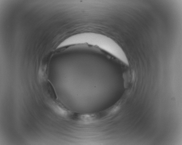 X0000082140239200702021617