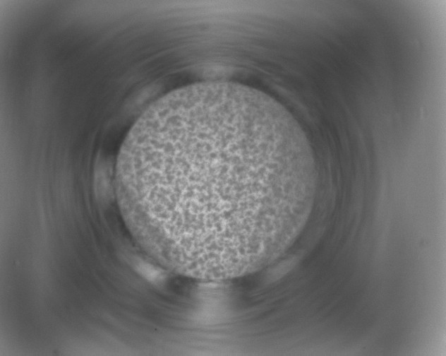 X0000082140240200702021617