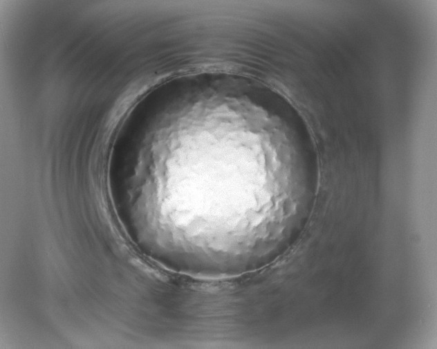 X0000082140241200702021616