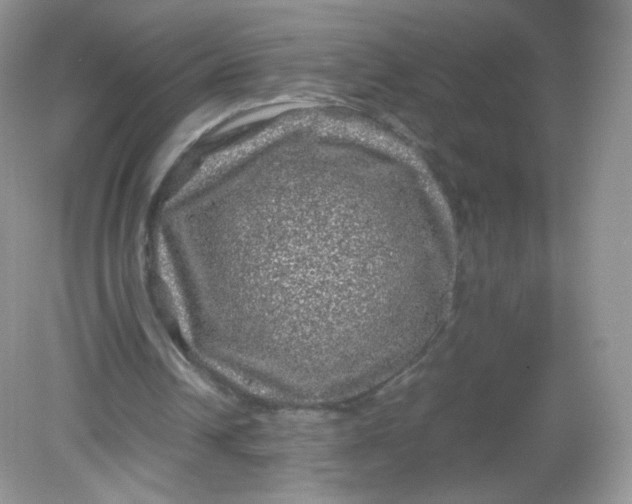 X0000082140242200702021616