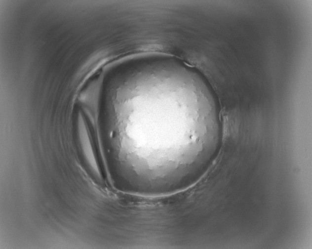 X0000082140243200702021616