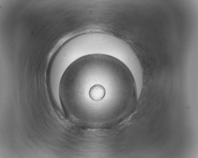 X0000082140244200702021616