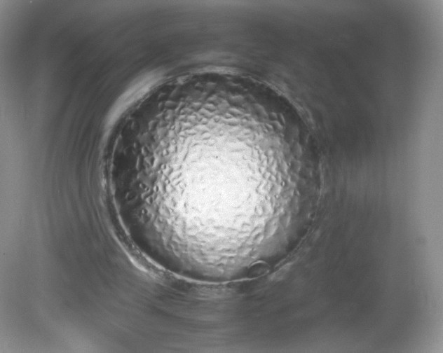 X0000082140245200702021616