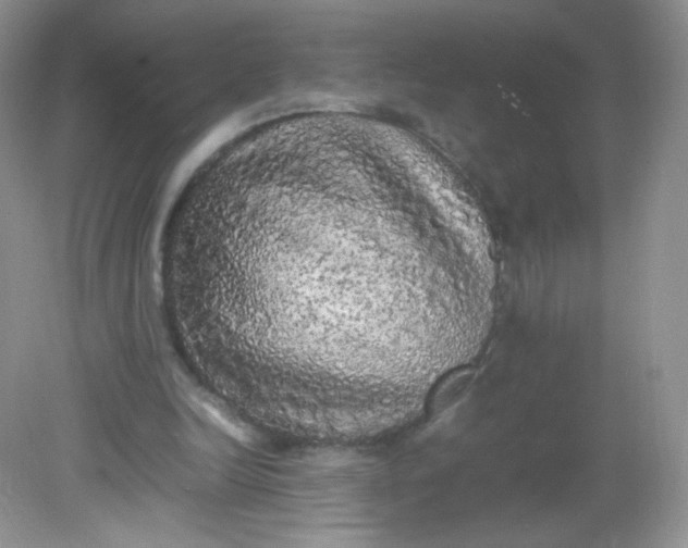 X0000082140246200702021616