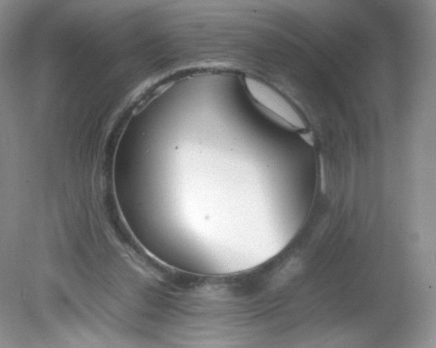 X0000082140252200702021616