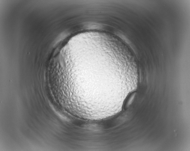 X0000082140253200702021616