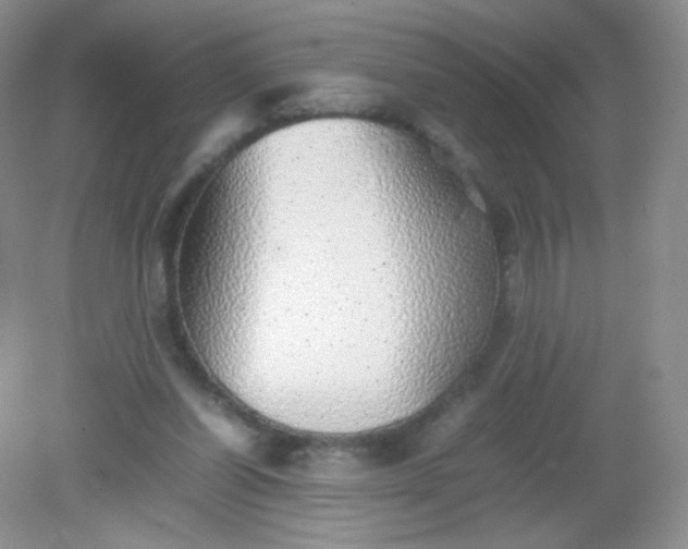 X0000082140254200702021616