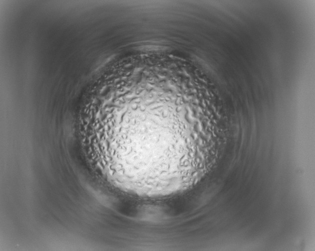 X0000082140255200702021616