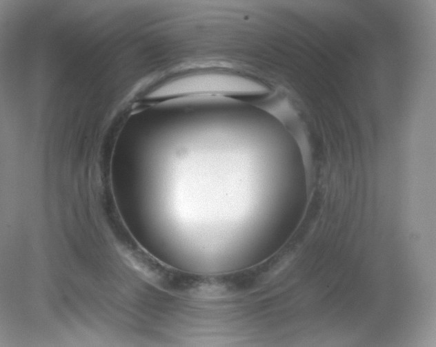 X0000082140256200702021616