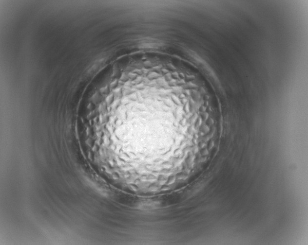 X0000082140257200702021616