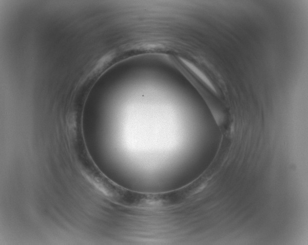 X0000082140260200702021617