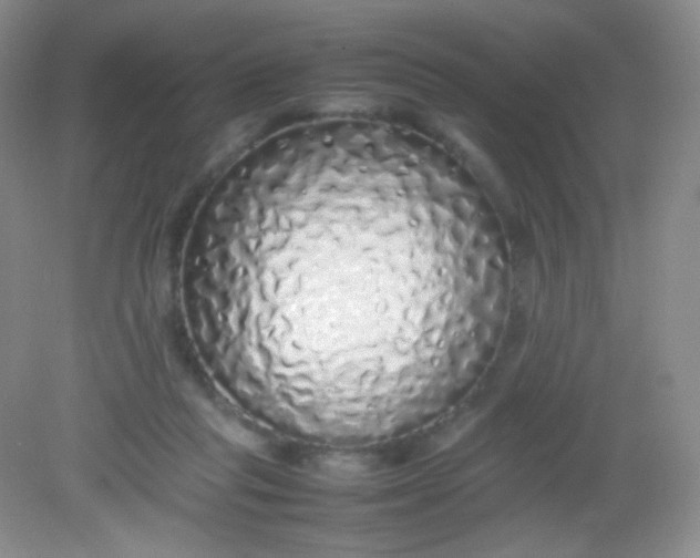 X0000082140261200702021617