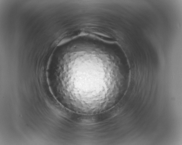 X0000082140263200702021617
