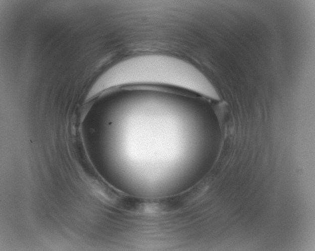 X0000082140264200702021617
