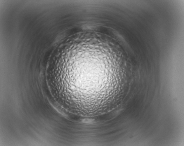 X0000082140265200702021617