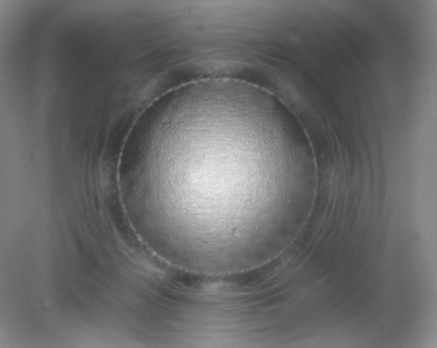 X0000082140268200702021617