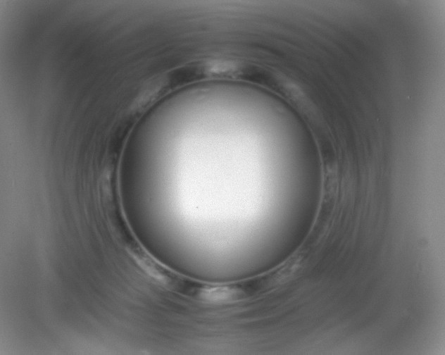 X0000082140269200702021617