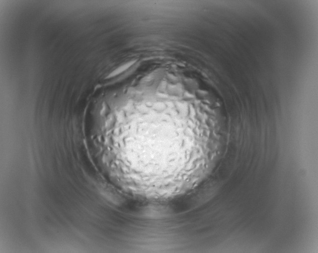 X0000082140270200702021617